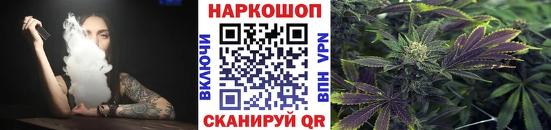 Где купить Берёзовка А ПВП Конопля