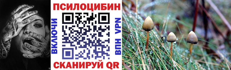 наркошоп  omg ссылки  Галлюциногенные грибы MAGIC MUSHROOMS  Берёзовка 